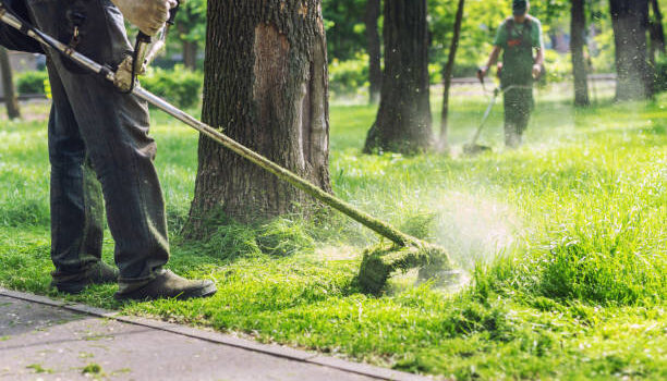 Aufgaben für Hobbygärtner