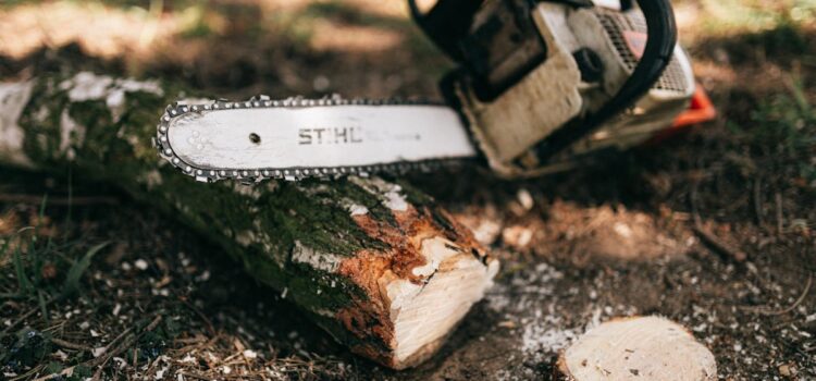 perfekte Baumschnitt