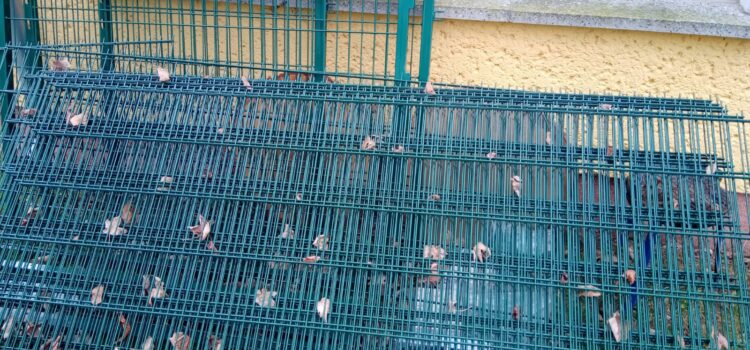 Zaunsysteme aus Stabmatten